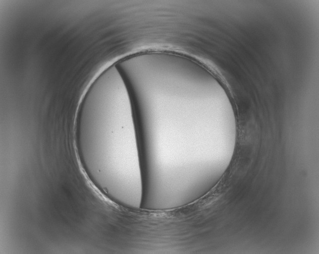 X0000056030903200508190949