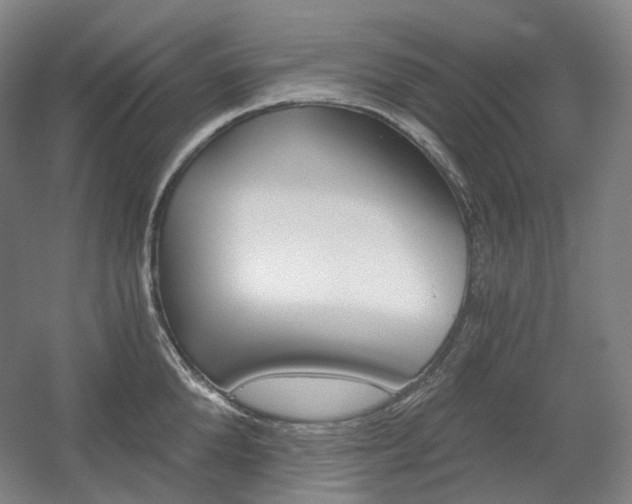 X0000056030904200508190949