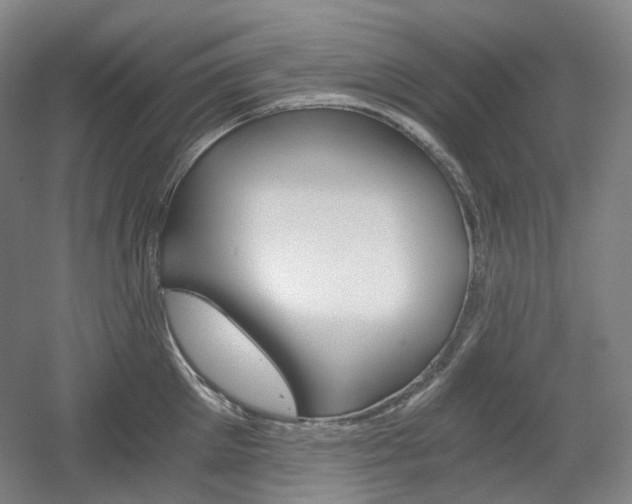 X0000056030905200508190949