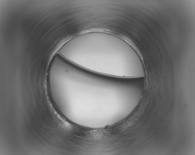 X0000056030906200508190949