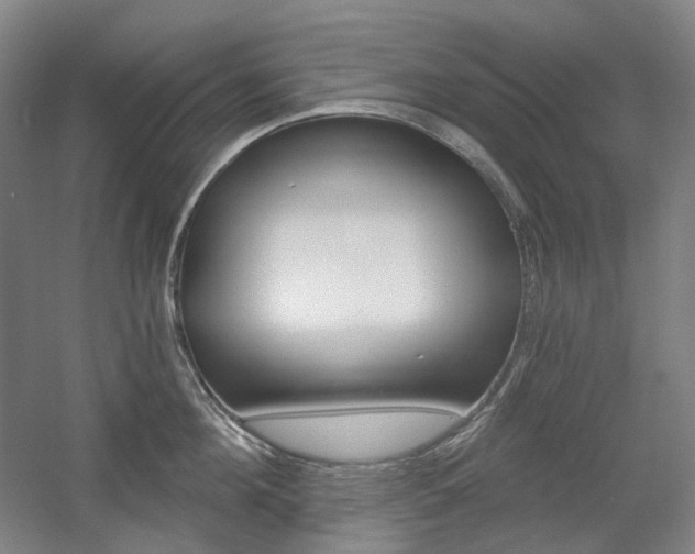 X0000056030908200508190949