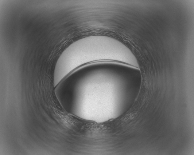 X0000056030916200508190948