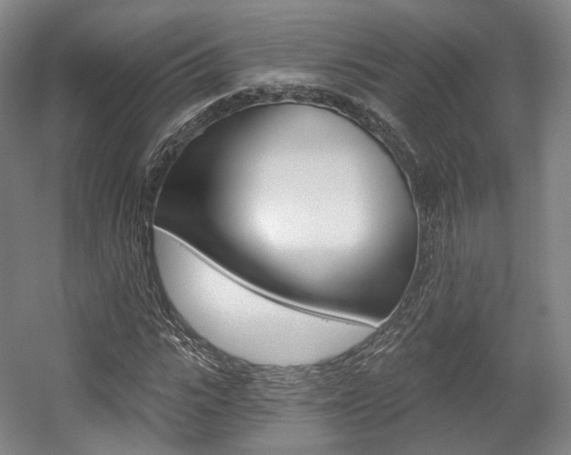 X0000056030919200508190948