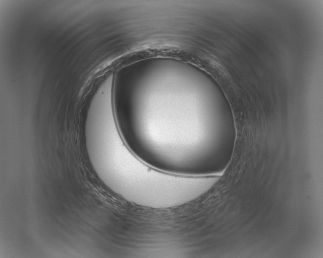 X0000056030920200508190948