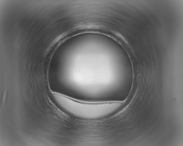 X0000056030922200508190948