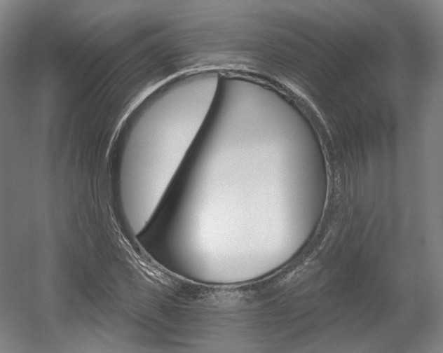 X0000056030925200508190948