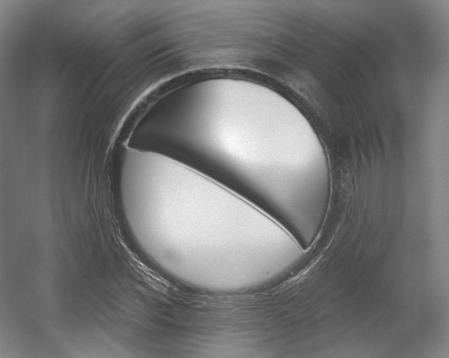 X0000056030926200508190948