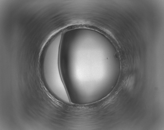 X0000056030927200508190948