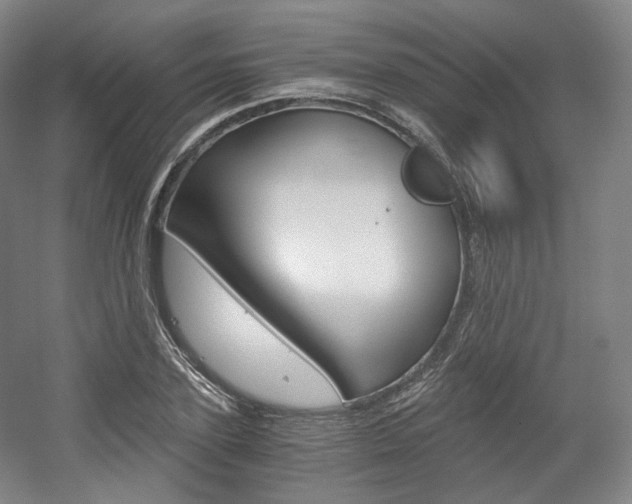 X0000056030931200508190948