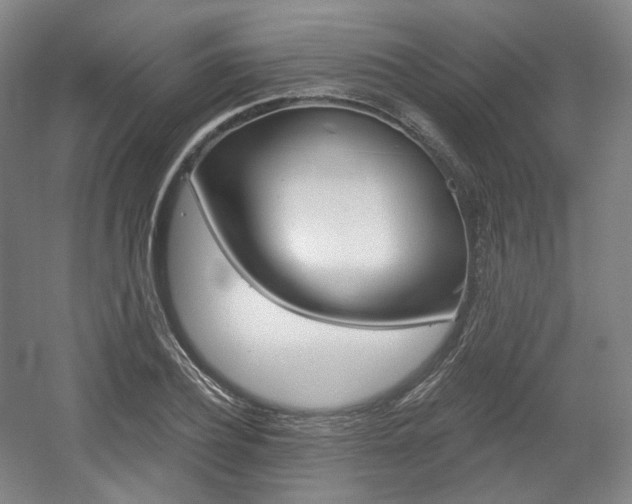 X0000056030932200508190948