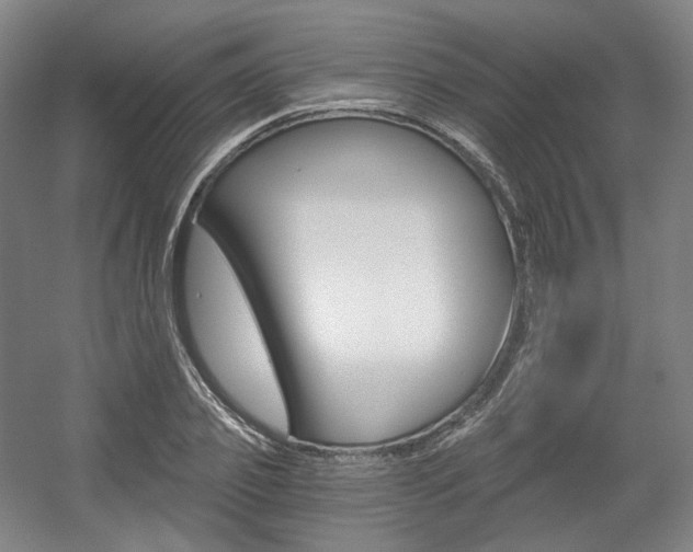 X0000056030933200508190948