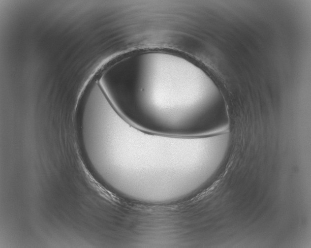 X0000056030934200508190948