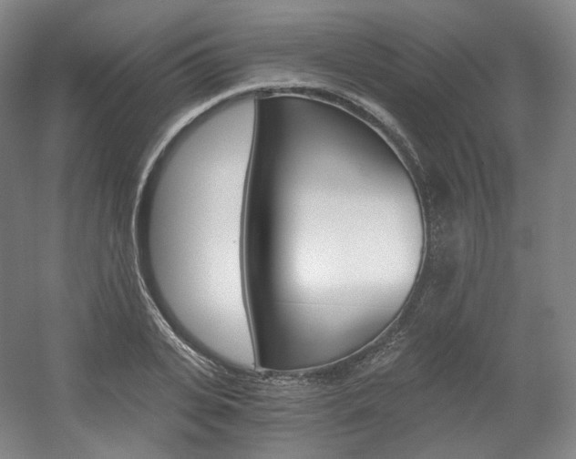 X0000056030935200508190948