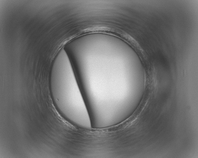 X0000056030937200508190948