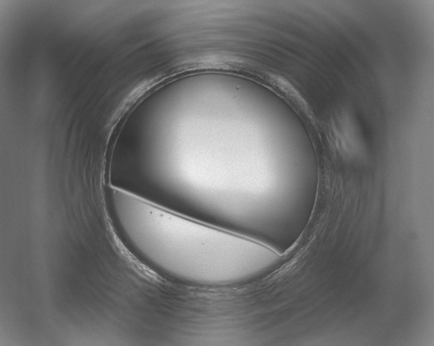 X0000056030938200508190948