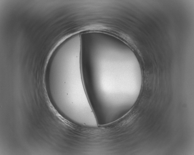 X0000056030939200508190948