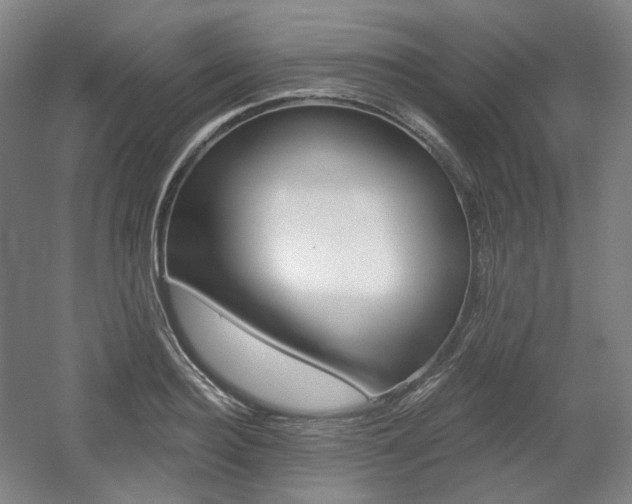 X0000056030940200508190948