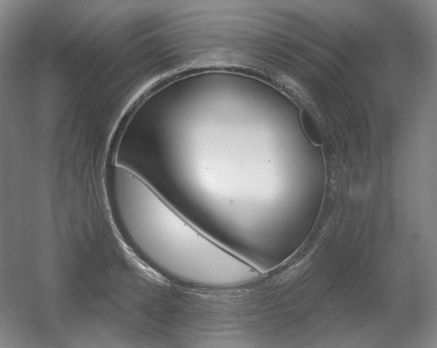 X0000056030942200508190948