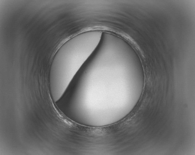 X0000056030945200508190948