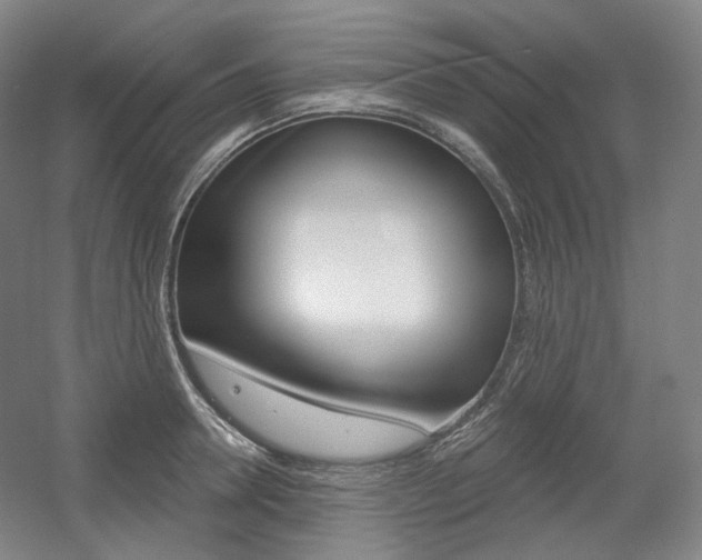 X0000056030946200508190948