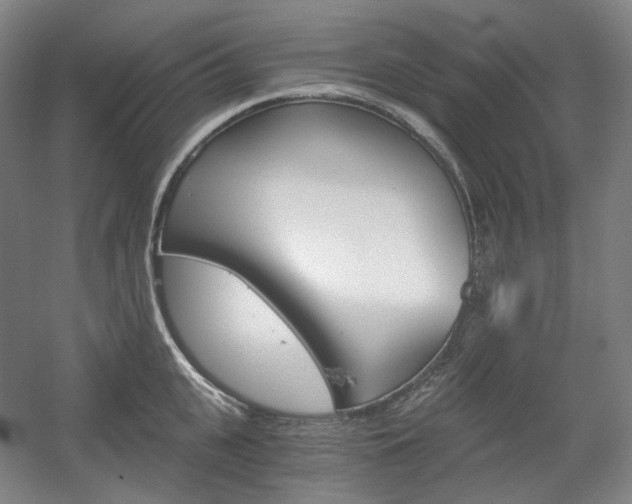 X0000056030951200508190949
