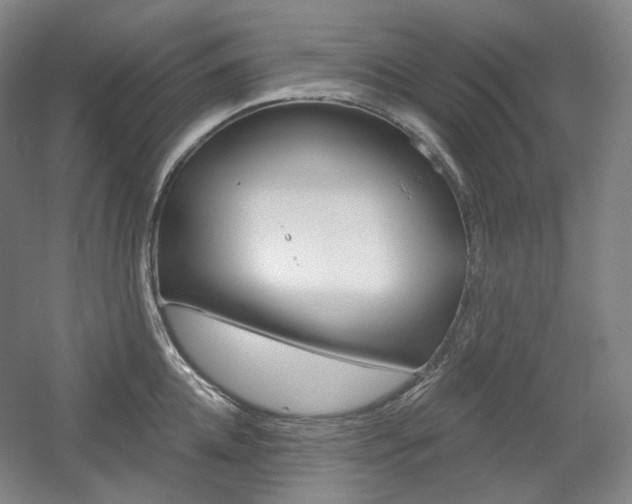 X0000056030952200508190949