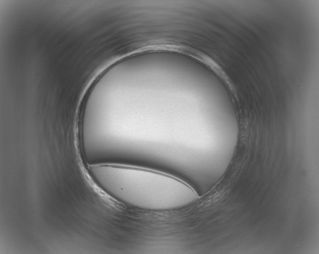 X0000056030955200508190949