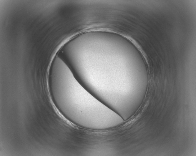 X0000056030957200508190949