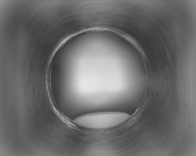 X0000056030958200508190949