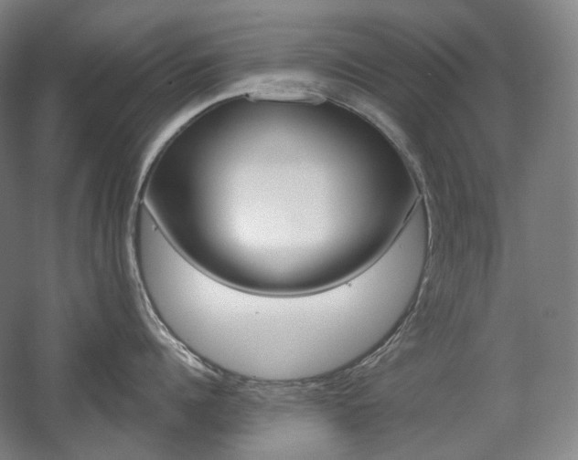X0000056030960200508190949