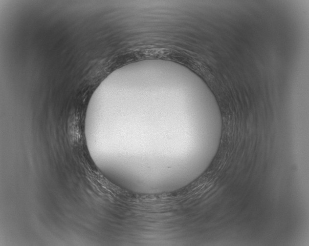 X0000056030962200508190948