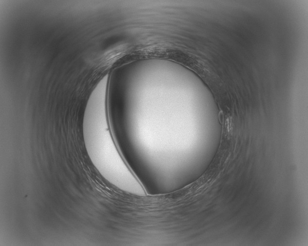 X0000056030963200508190948