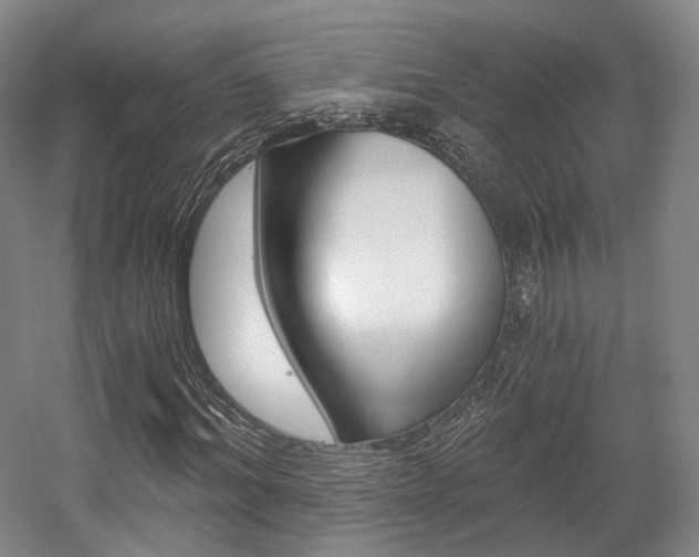 X0000056030964200508190948