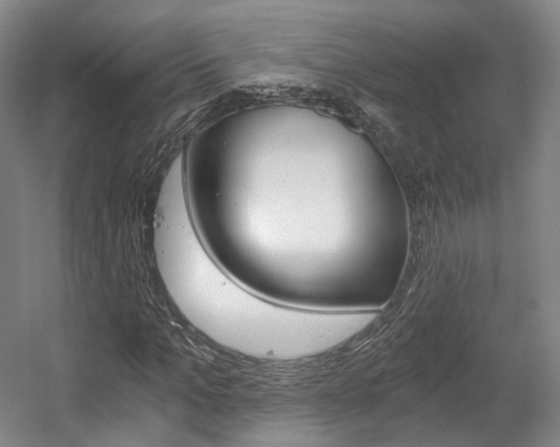 X0000056030965200508190948