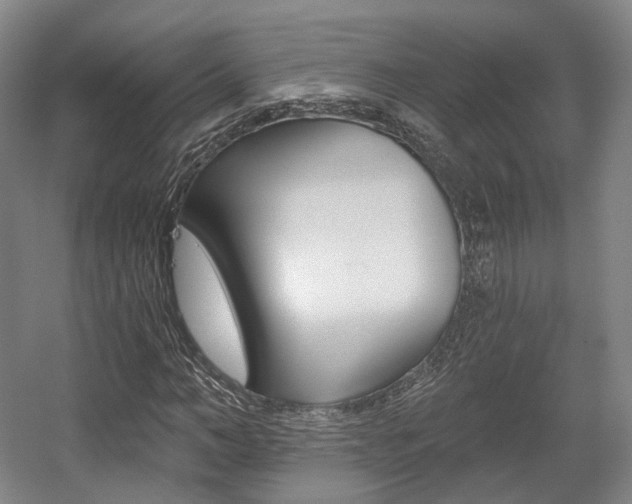 X0000056030966200508190948