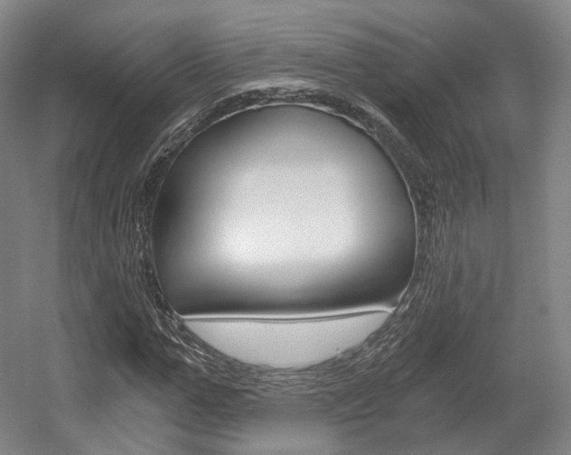 X0000056030967200508190948