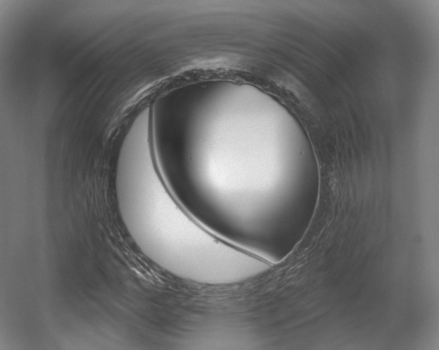 X0000056030968200508190948