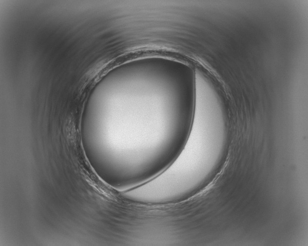 X0000056030969200508190948