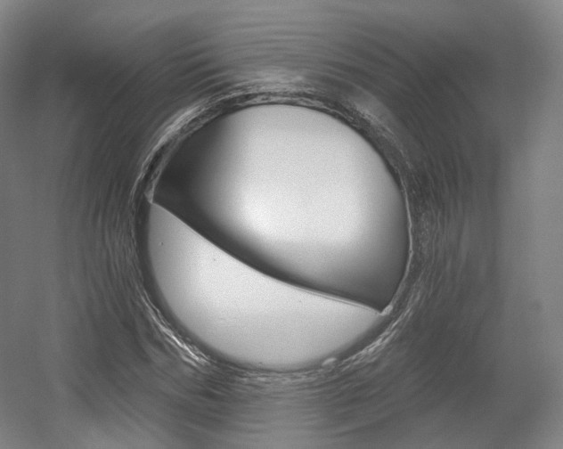 X0000056030970200508190948