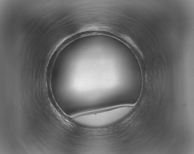 X0000056030972200508190948