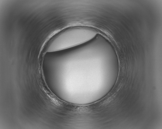 X0000056030974200508190948