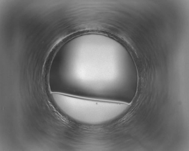 X0000056030975200508190948