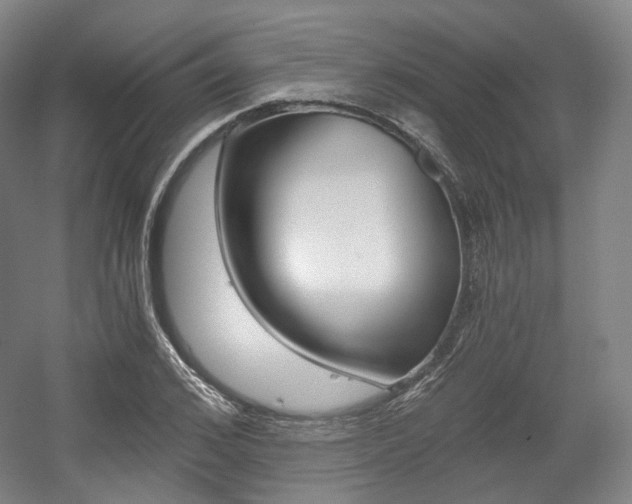 X0000056030976200508190948