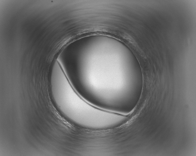 X0000056030977200508190948