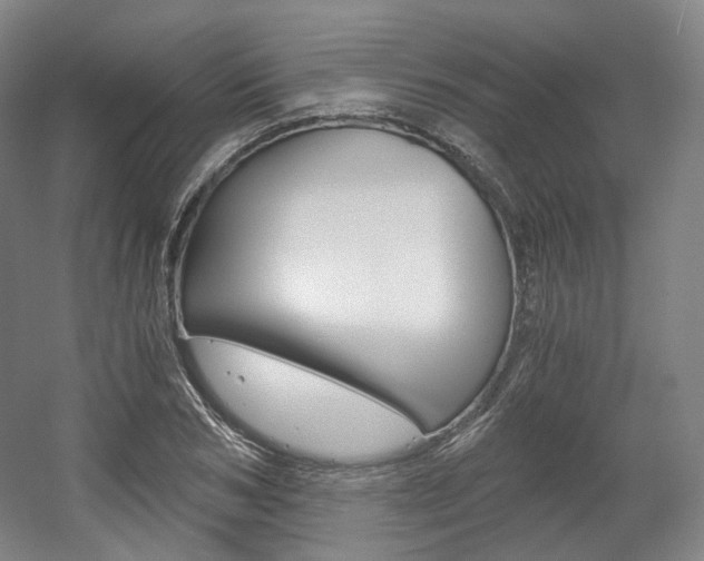 X0000056030978200508190948