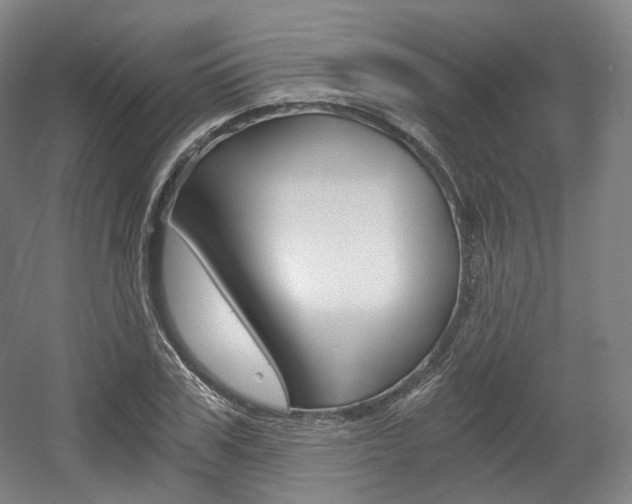 X0000056030979200508190948