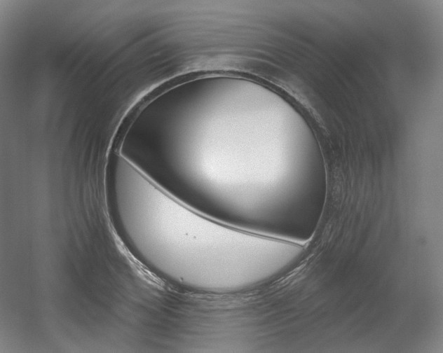 X0000056030980200508190948