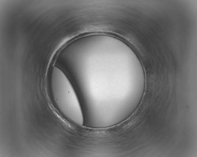X0000056030982200508190948