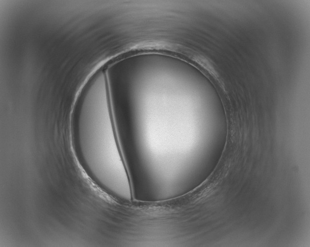 X0000056030984200508190948