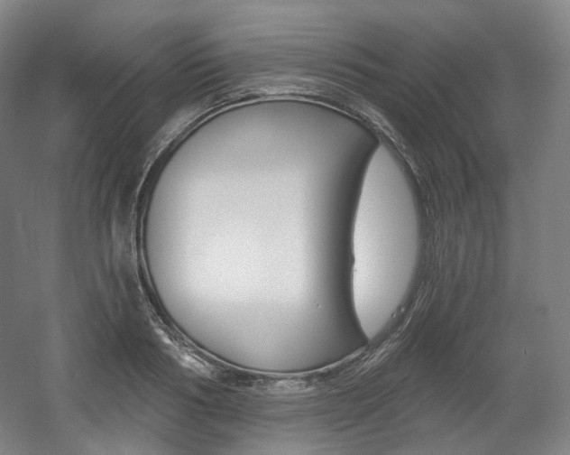 X0000056030986200508190947